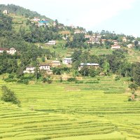 Restoration for Socio-ecological resilience (@restore4nature) 's Twitter Profile Photo