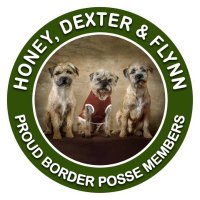 🐾 Honey 🌈 (R.I.P), Dexter & Flynn🐾 (@dexterhoney1) 's Twitter Profile