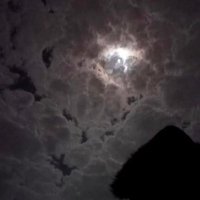 someone (@fhlsdysalasyn) Twitter profile photo