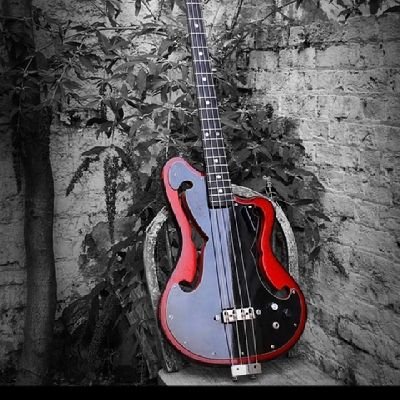 HonestWany20955's profile picture. Am a bassist