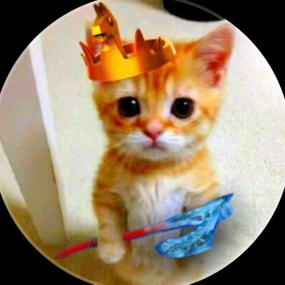 Mintbot09's profile picture. hi I am a fortnite pro 
tiktok Mintbot2 
£1000 (EU)