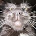 Ivan (@ivan_hendrix_) Twitter profile photo Ivan (@ivan_hendrix_) Twitter profile photo