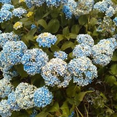 khushi2653's profile picture. 