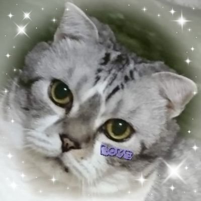 空さんのプロフィール画像