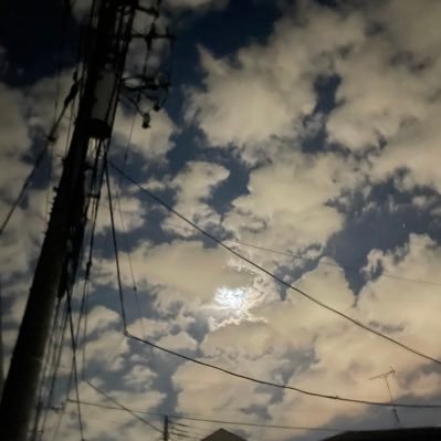 N4Xy1WrLz822436's profile picture. プロゲーマー募集してる人探してます