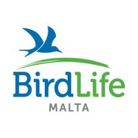 BirdLife Malta (@birdlife_malta) 's Twitter Profile Photo BirdLife Malta (@birdlife_malta) 's Twitter Profile Photo