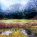 puddlesinthewoods (@puddlesinwoods) Twitter profile photo puddlesinthewoods (@puddlesinwoods) Twitter profile photo