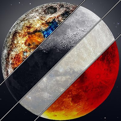 majidred190902's profile picture. Under the sea is a city...