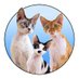 The Rockstar Cats 🎸🎶 (@therockstarcat) Twitter profile photo The Rockstar Cats 🎸🎶 (@therockstarcat) Twitter profile photo