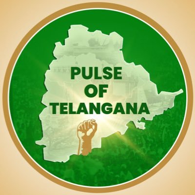 Pulse of Telangana Profile