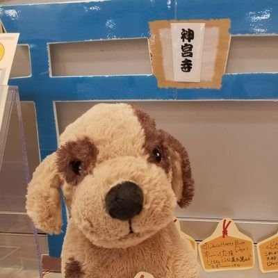 nonnon_jin's profile picture. iLYs神宮寺勇太担🩵
のんのんって呼んでね！

誰かのファンになったことがない人生だったのに、過去の突然の発表で気になったお茶の間視聴者が、一瞬にして神宮寺の沼に。今は神宮寺くんのいない毎日なんて考えられない💙
紫燿くんも岸くんも大好き！
Number_i全力応援！