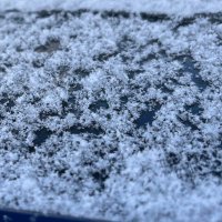 乾焼蝦仁 (@grasshopper668) 's Twitter Profile Photo