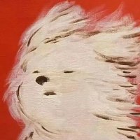 lalala (@lalala63611) 's Twitter Profile