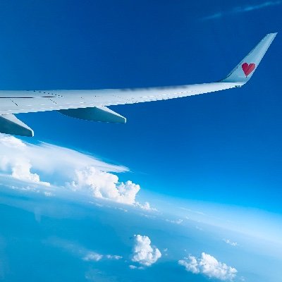 4869Iris's profile picture. 