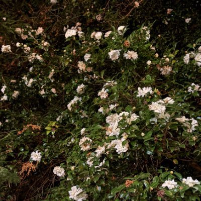 Miy1318110's profile picture. IAMAS M1