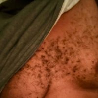 Braddybear (@braddybeardmv) 's Twitter Profile