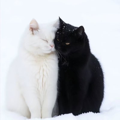 YU10328993's profile picture. 