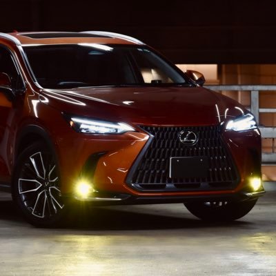 信州出身、趣味:🎾⛷️⛳️🚗(テニス歴12年、SAJ1級、ゴルフ平均スコア95くらい、NEXUS メンバー(Shinsetsusampo))