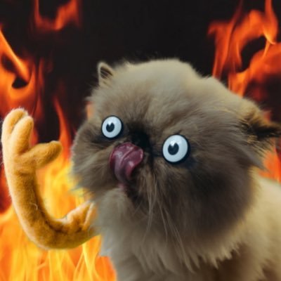 ___Yautja___'s profile picture. Crypto stalker
