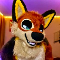C. Balto Barkins✨️ 🔜 PAWERCON 📚 (@drwolf09) 's Twitter Profile