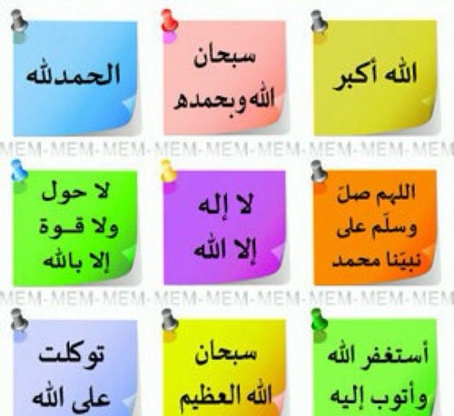 Sona4050's profile picture. 