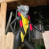 きりちょ (@latex_kiryu) 's Twitter Profile