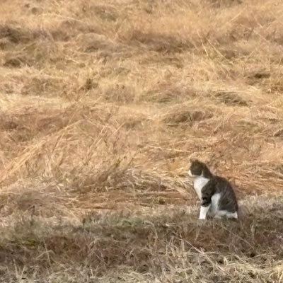 ktさんのプロフィール画像