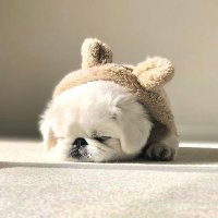 幸沙 (@yukisa_12321) 's Twitter Profile