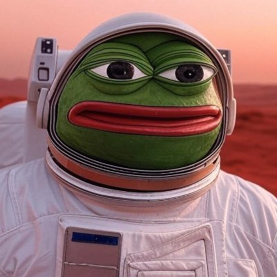 bmaltais's profile picture. 