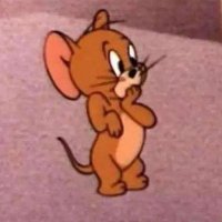 ali winchester 🇪🇸 (@aliwincheesteer) 's Twitter Profile Photo ali winchester 🇪🇸 (@aliwincheesteer) 's Twitter Profile Photo