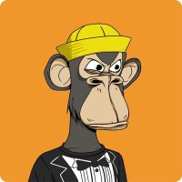 CRYPTO₿IRB (@crypto_birb) 's Twitter Profile Photo CRYPTO₿IRB (@crypto_birb) 's Twitter Profile Photo