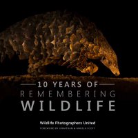 Remembering Wildlife (@remembrwildlife) 's Twitter Profile Photo Remembering Wildlife (@remembrwildlife) 's Twitter Profile Photo