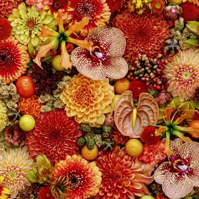 SBranch29's profile picture. FX初心者🔰トラリピsuzu&331の残党。含み損とマイナススワップに耐えてます。早く卒業したい😢