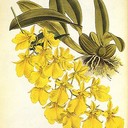 Donald Hanks - @Donald_Hanks - Twitter