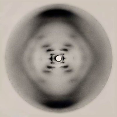 dheurofkshe's profile picture. 