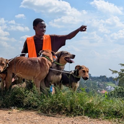 ➡️Am 17 years old from Africa_uganda🇺🇬 ➡️ with a dream of rescuing all street dogs ➡️Video call and see the souls you help ➡️provide food, Medical to dogs
