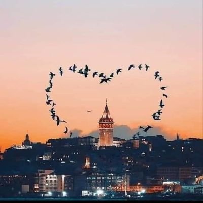 AbuGhribel's profile picture. 