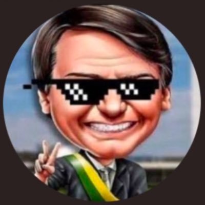 Bolsonarista // Armamentista // Anti Esquerdista // DM🚫 // Viva a Democracia Relativa do Brasil! 🇧🇷🇮🇱🇺🇸