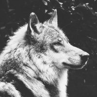 Iodine 🇺🇸 (@photo2electric) 's Twitter Profile Photo Iodine 🇺🇸 (@photo2electric) 's Twitter Profile Photo