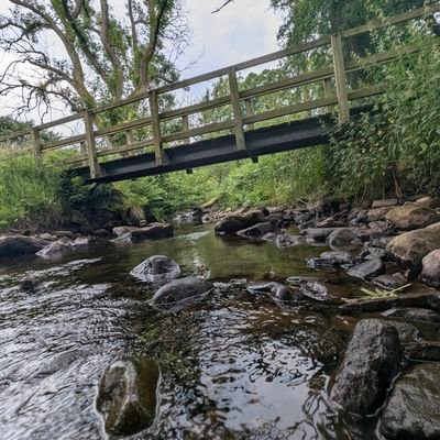 RSCUPxCAKE's profile picture. 20- Something-year-old trying to figure out my existence.

Casual RuneScape player.
(Rs3 - Comp Cape)
(OSRS - ADVENTURE BEGAN 01/01/23)