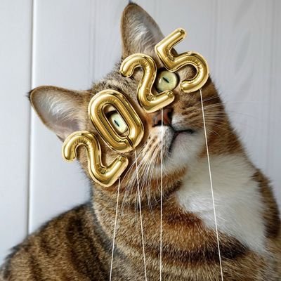 CarmelyCms's profile picture. Una chica contando su propia historia.