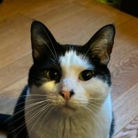 riju (@rijulefilou) 's Twitter Profile Photo riju (@rijulefilou) 's Twitter Profile Photo