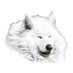 White dog Studio (@khangbakapixel) Twitter profile photo White dog Studio (@khangbakapixel) Twitter profile photo