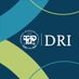 Dirección de Relaciones Internacionales (@dri_utp) Twitter profile photo Dirección de Relaciones Internacionales (@dri_utp) Twitter profile photo