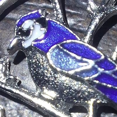 Skull Artist Taking Custom Orders. Truth seeker and natural healer.