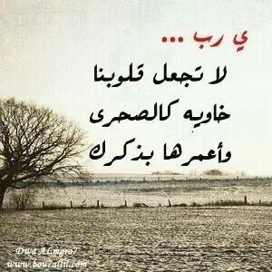 ‏كود خصم ايهيرب TNT205               رقم عضوية دكسن :144543306