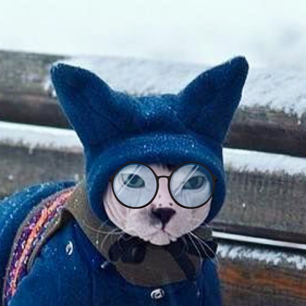 チョコゆきさんのプロフィール画像