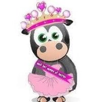Mooey (@minimooey) 's Twitter Profile