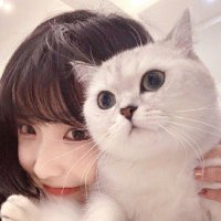 每日大作战 (@alan46_88) 's Twitter Profile