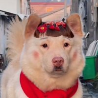 PpP (@wpsone) 's Twitter Profile Photo PpP (@wpsone) 's Twitter Profile Photo